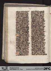 Blatt 141v