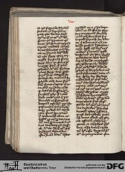 Blatt 146v