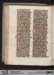 Blatt 217v