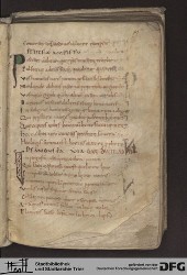 Blatt 19r