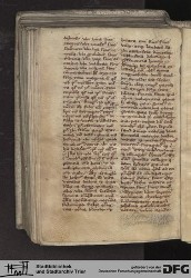 Blatt 167v