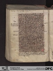 Blatt 146v