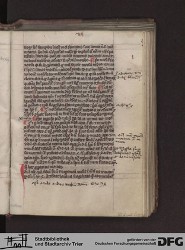 Blatt 213r