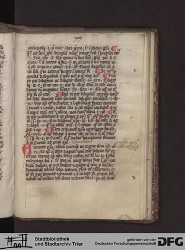 Blatt 307r