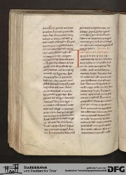 Blatt 161v