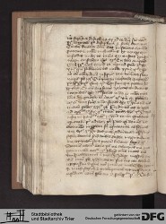 Blatt 166v