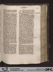 Blatt 146r