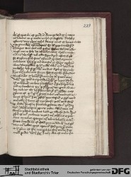 Blatt 229r