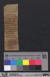 Herausgetrenntes Fragment Iv