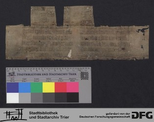 Herausgetrenntes Fragment Iv