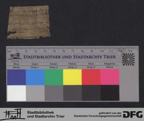 Herausgetrenntes Fragment IIr