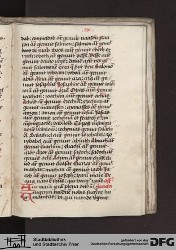 Blatt 116r