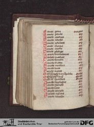 Blatt 145v