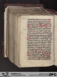 Blatt 377v