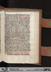 Blatt 391r