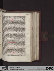 Blatt 446r