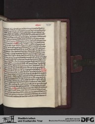 Blatt 481r