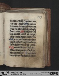 Blatt 133r