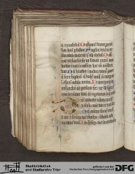 Blatt 116v