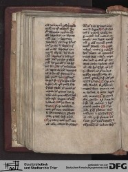 Blatt 106v