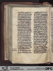 Blatt 137v