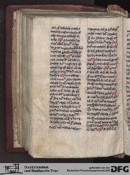 Blatt 146v