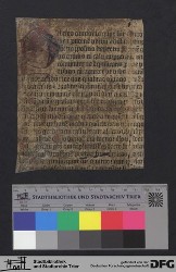 Herausgetrenntes Fragment IVr