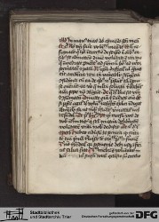 Blatt 119v