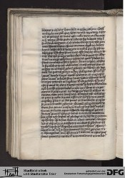 Blatt 81v