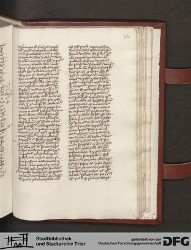 Blatt 316r