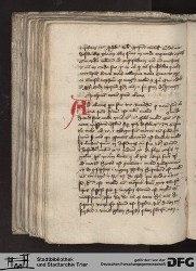 Blatt 119v