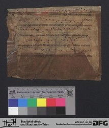 Herausgetrenntes Fragment IIv