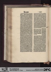 Blatt 116v