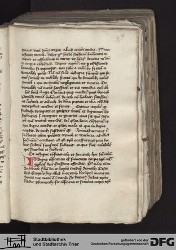 Blatt 19r