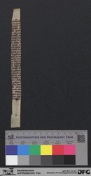 Herausgetrenntes Fragment IIv