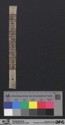 Herausgetrenntes Fragment IVv