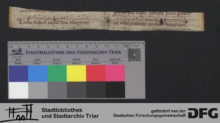 Herausgetrenntes Fragment Xv