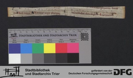 Herausgetrenntes Fragment XIv