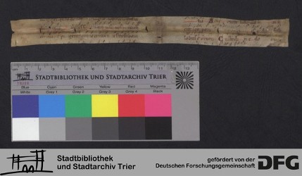 Herausgetrenntes Fragment XIVr