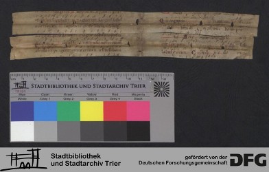 Herausgetrenntes Fragment XVr