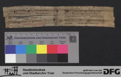 Herausgetrenntes Fragment XVv