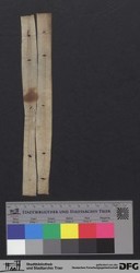 Herausgetrenntes Fragment XXIIv