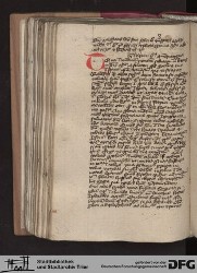 Blatt 163v