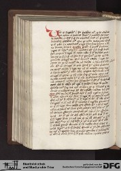 Blatt 115v