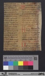 Herausgetrenntes Fragment Iv