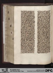 Blatt 135v