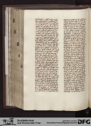 Blatt 141v