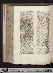 Blatt 143v