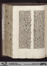 Blatt 164v