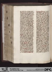 Blatt 173v